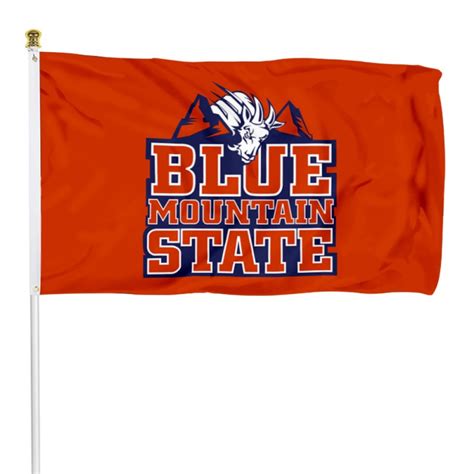 Blue Mountain State Dorms College Football Flag Banner