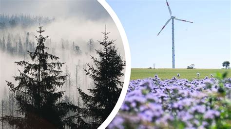 Wetter Am Sonntag In Niedersachsen Auf Dichten Nebel Folgen