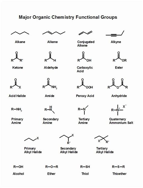 Functional Group Practice Worksheets