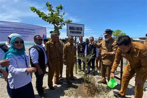 Hari Menanam Pohon Indonesia Pln Tanam Ketapang Kencana Di Pantai