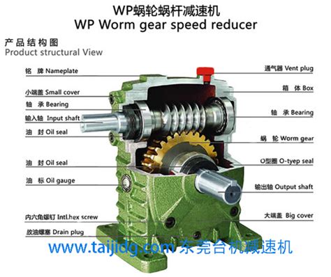 Wp铸铁蜗轮蜗杆减速机装配图 常见问题 东莞市台机减速机有限公司