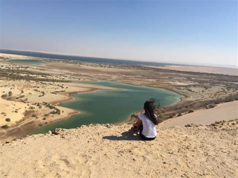 Escursione Di Un Giorno Alla Valle Delle Balene Wadi Al Hitan Dal Cairo