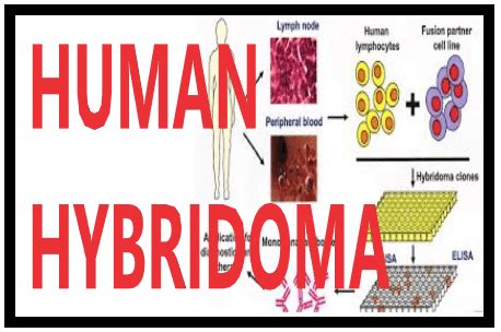 Pin on Biotechnology