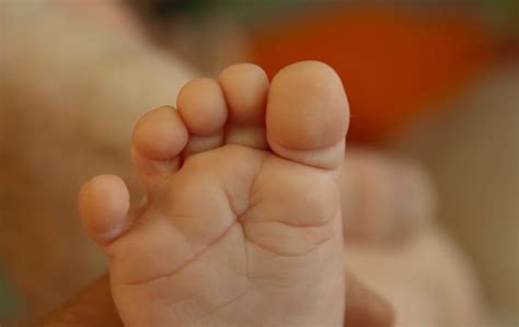 Free Images Hand Leg Finger Foot Father Child Nail Baby Mouth