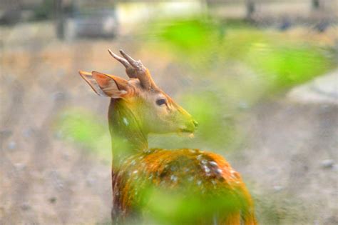 visioplanet photography page