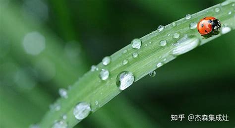 又是一年梅雨季，杰森集成灶呵护你的饮食健康！ 知乎