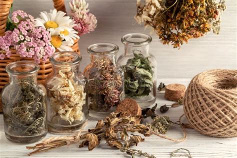 Secagem E Colheita De Plantas Medicinais Homeopatia E Conceito De