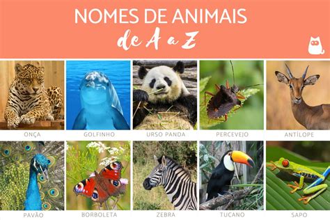 Nomes De Animais De A A Z