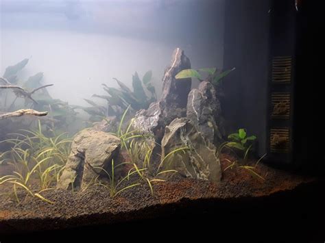 Problème changement de couleur manado dark : forum Aquarium