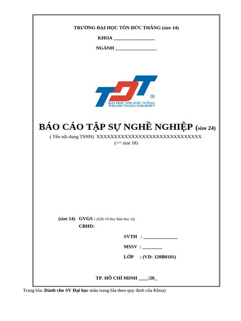 bieu bia bao cao tsnn