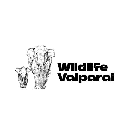 wildlife valparai valparai