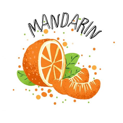 Premium Vector Orange Mandarin Illustration Slice Of Orange