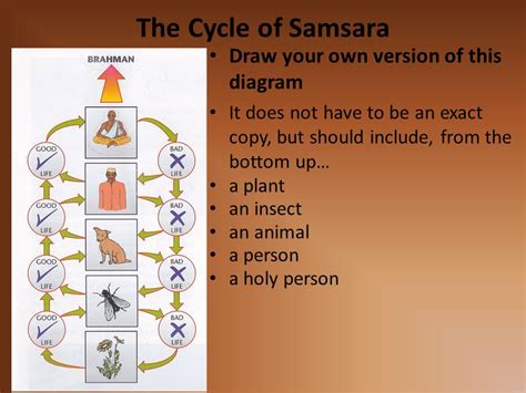 Reincarnation Cycle Hinduism