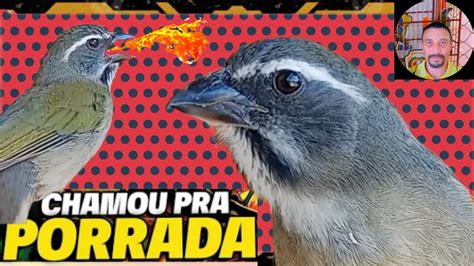 Aprovado Seu Trinca Ferro Vai Abrir Canto Na Hora Youtube