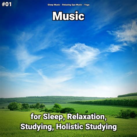 Serene Music Part 99 Sleep Musicrelaxing Spa Musicyoga 单曲 网易云音乐