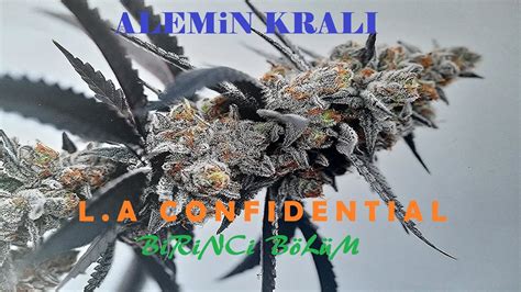 ALEMiN KRALI L A CONFIDENTIAL 1 Bölüm YouTube