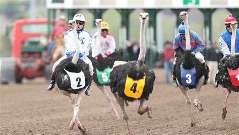 Extreme Racing returning to Remington Park