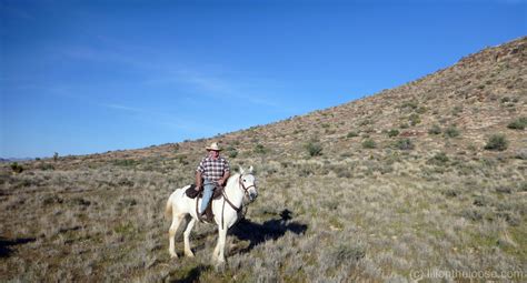 Horseback Riding Red Rock Canyon, Nevada - Lili on the Loose