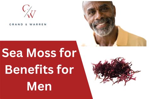 20 Top Sea Moss Benefits For Men Enhancing Health Naturally Grand And Warren