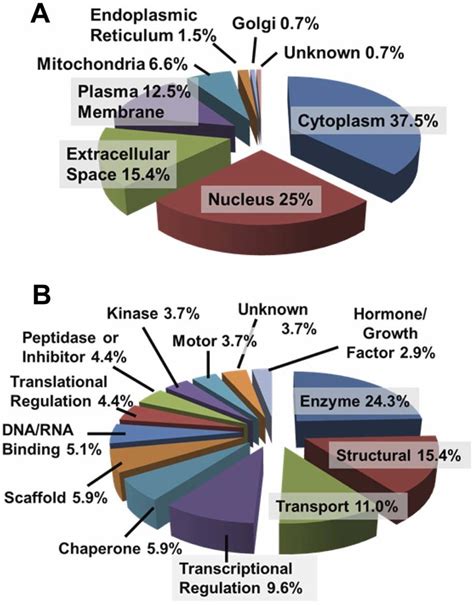 Categorization Of D283med Exosomal Proteins By Subcellular Localization