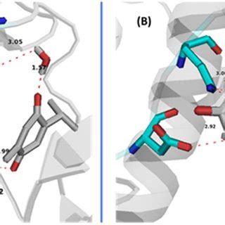 Binding Interactions Of Co Bound Ternary Supramolecular Complex Of Svp