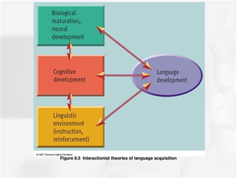 Ppt Chapter 8 Language And Thought Powerpoint Presentation Free Download Id 1088743