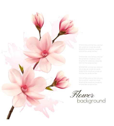 Premium Vector Spring Background With Blossom Brunch Of Pink Flowers