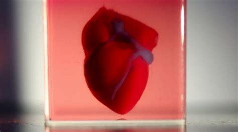 3D Printed Heart With Patients Own Cells Advanced Science News