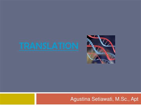 Ppt Translation Powerpoint Presentation Free Download Id 8829604