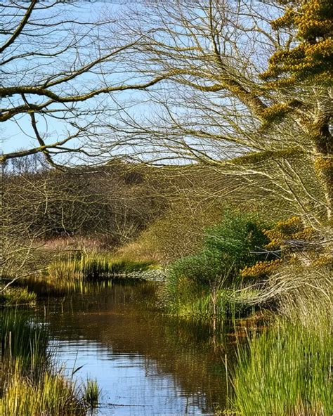 Discover Hidden Gems in Christchurch's Nature Reserves