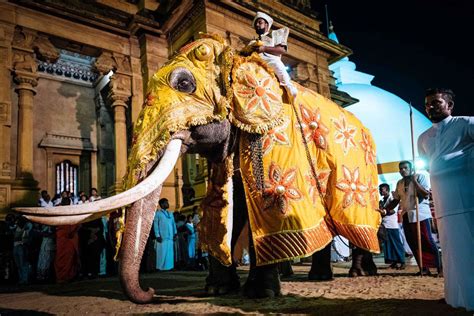 Mr Don Walter Wijewardene The Pioneer Of The Duruthu Perahera