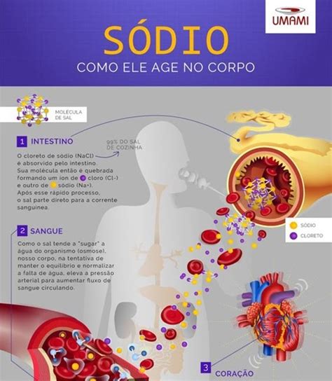 Como Baixar O Sódio No Sangue - DIVERSAMENTO: Infográfico: Sódio - Como ele age no seu corpo