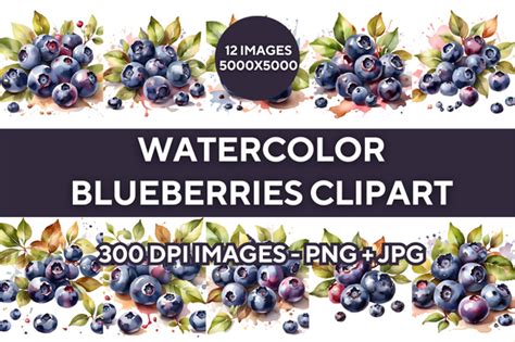 Watercolor Blueberries Clipart Bundle Graphic By ProDesigner21