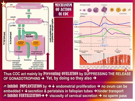 Ppt Pharmacology Of Powerpoint Presentation Free Download Id 2258951