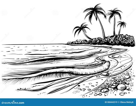 Praia Do Oceano Ou Do Mar Palmas E Ondas Esboço Ilustração Preto E