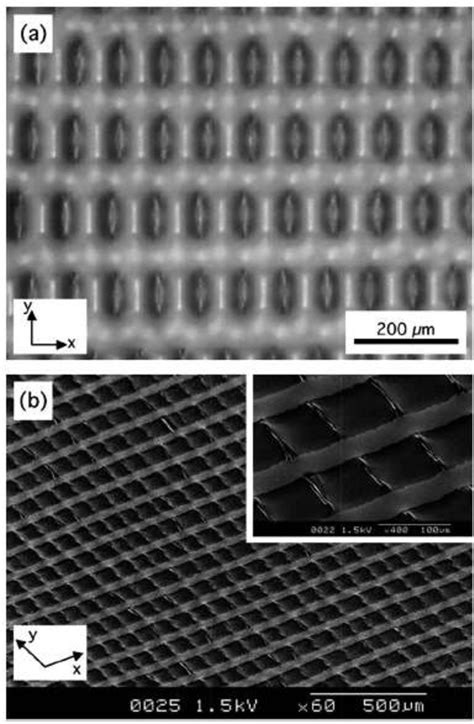 Figure 2 1 From Effects Of Adhesion And Deformation On Stretchable