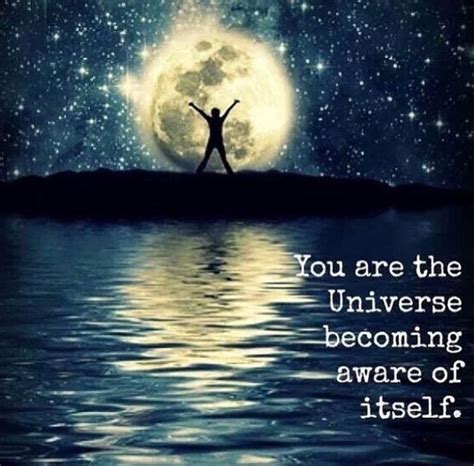 You Are Another Me Universe Metaphysics Spirituality