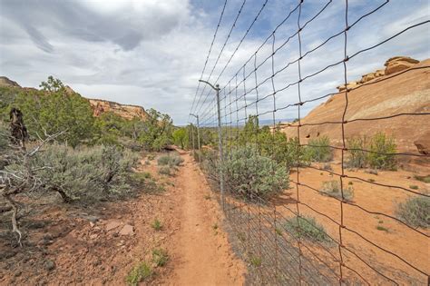 Border Fence in the Wilderness – Church of God at Mt. Tabor