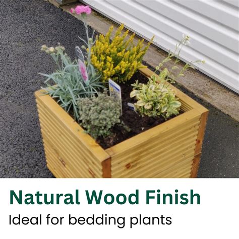 Unusual Wooden Planters Adventurer's Allotment In A Box | Unusual