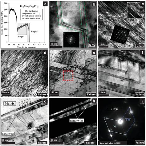 Bright Field And Dark Field Tem Micrographs And Corresponding Selected