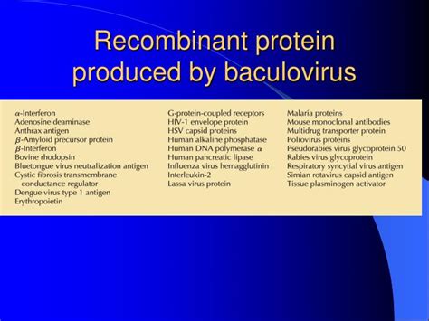 Ppt Recombinant Protein Production In Eukaryotic Cells Powerpoint