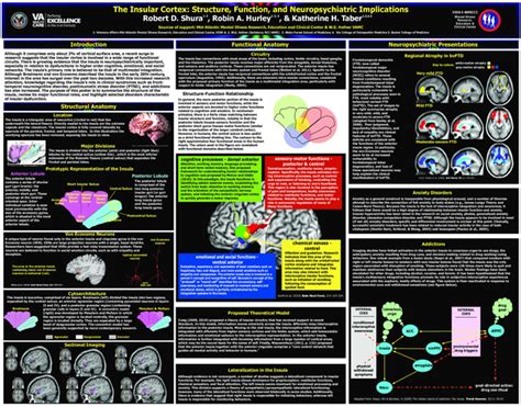 (PDF) The Insular Cortex: Structure, Function, and Neuropsychiatric Implications | Robert Shura ...