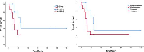 A Kaplanmeier Curves Comparing Survival Of Patients With Or Without