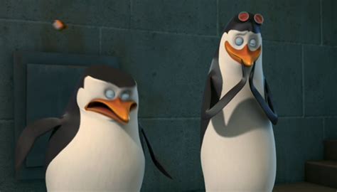 Kowalski S Laughing At Him D Penguins Of Madagascar Photo 20329314