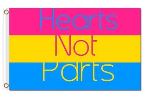 Hearts Not Parts Pansexual Pride Flag Queerks™