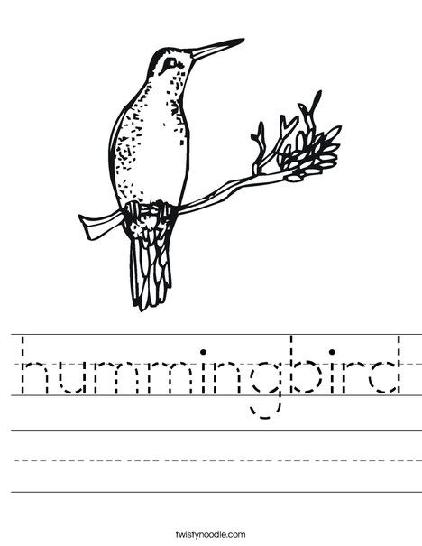 Hummingbird Worksheet Twisty Noodle Worksheets Library