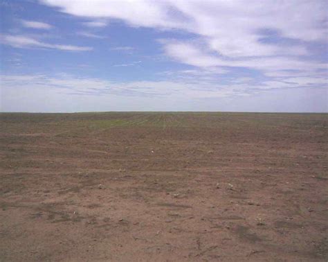 Estancias Campos Buenos Aires Coronel Pringles Ha Agricola