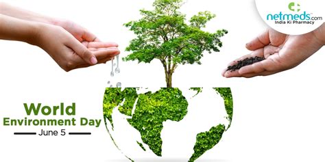 World Environment Day 2023 Theme Significance And 5 Detrimental