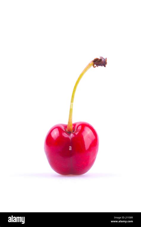 single cherry  white background stock photo alamy