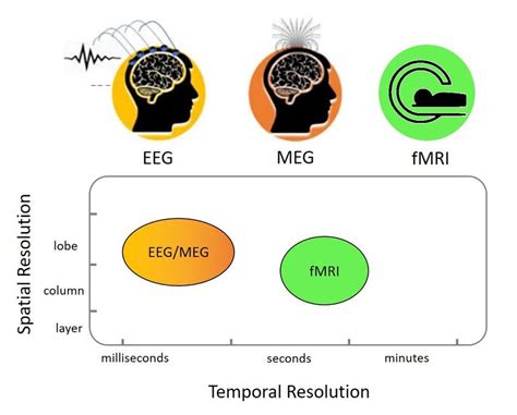 Main neuroimaging techniques including EEG, MEG, and fMRI acquisition ...